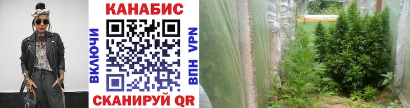 Какие есть наркотики Болотное ГАШИШ АМФ Меф мяу мяу ТГК APVP Каннабис