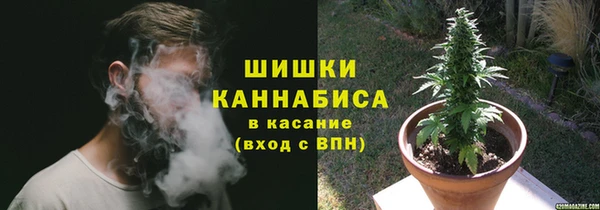 ГАЛЛЮЦИНОГЕННЫЕ ГРИБЫ Белоозёрский