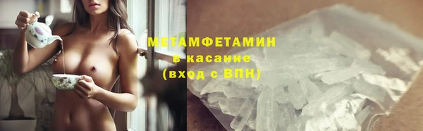 сатива Белокуриха