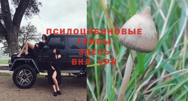 ГАЛЛЮЦИНОГЕННЫЕ ГРИБЫ Белоозёрский