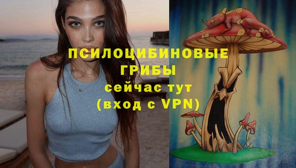 ГАЛЛЮЦИНОГЕННЫЕ ГРИБЫ Белоозёрский