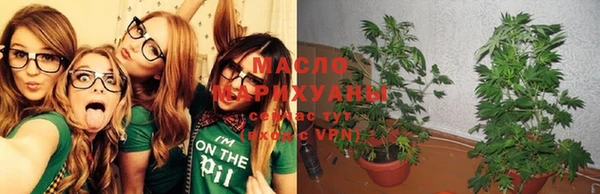 сатива Белокуриха