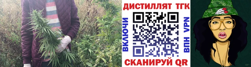 ТГК гашишное масло  Болотное 