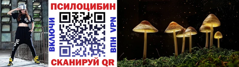 Галлюциногенные грибы мухоморы  Болотное 